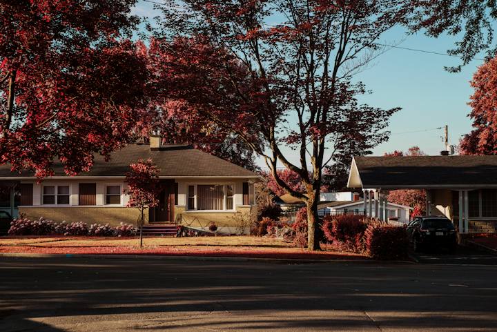 Houses along a quiet street under autumn trees
